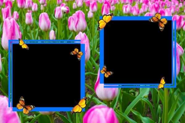 Flower Photo Frames скриншот 1