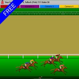 Flat Race Horse Racing