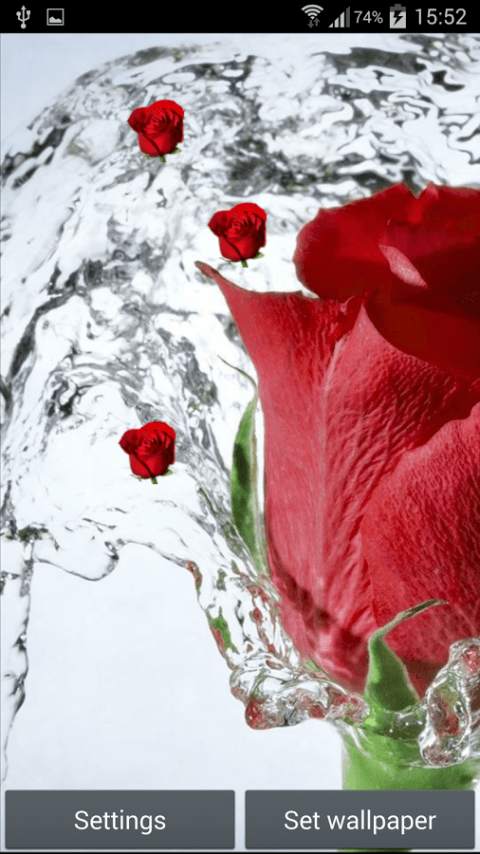 Rose Live Wallpaper स्क्रीनशॉट 2