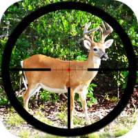 Hunting Games
