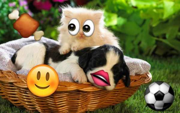 Emoji Photo Sticker Maker Pro screenshot 3