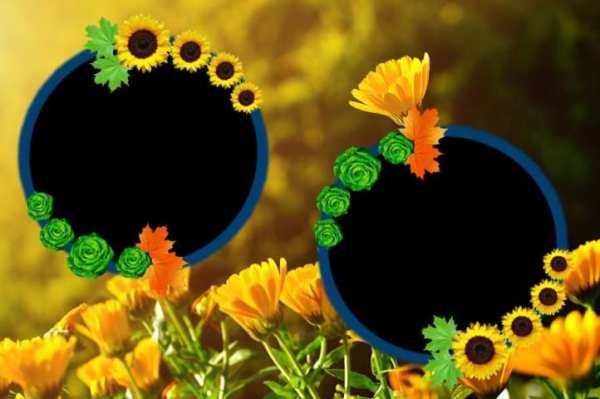 Flower Photo Frames скриншот 6
