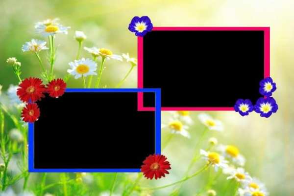 Flower Photo Frames скриншот 5