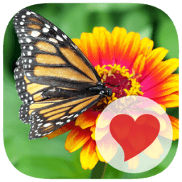 630 Pics أيقونة