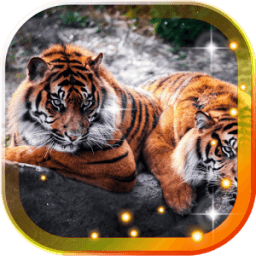 ikon Tigers and Lions