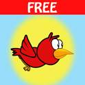 Cute Bird 9