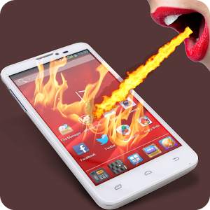 Fire Screen 40912