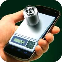 Pocket Scales Simulator