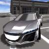 Extreme Race Car Simulator 1.0