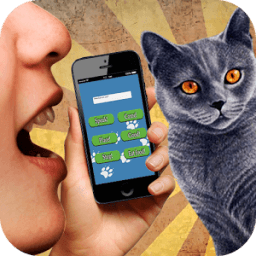 Cat Translator 3D sound icon