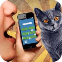 Cat Translator 3D sound