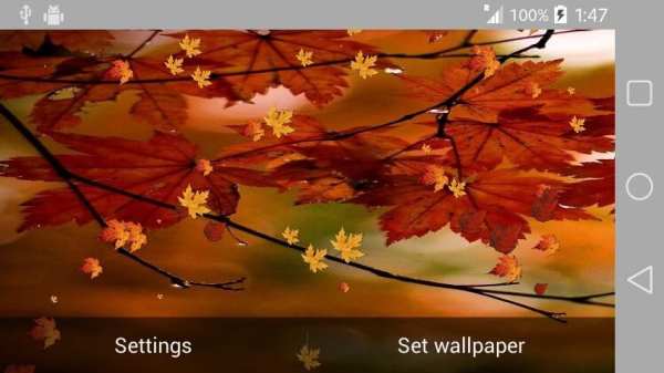 Nature Wallpaper Live स्क्रीनशॉट 3