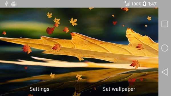 Nature Wallpaper Live स्क्रीनशॉट 2