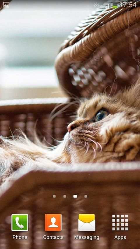 Cute Kitty Live Wallpaper screenshot 3