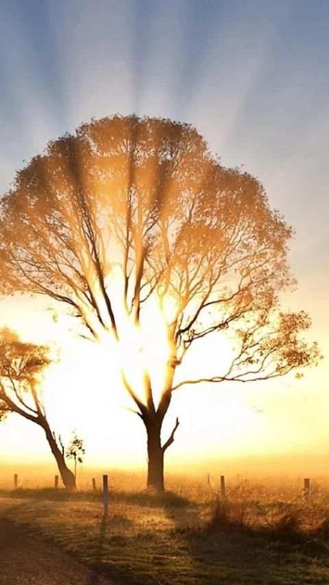 Sunrise Wallpapers screenshot 18