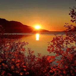 Sunrise Wallpapers иконка