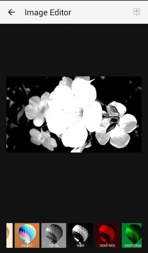 30 filters - Free Photo Editor screenshot 6