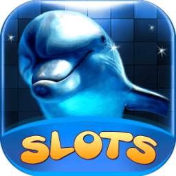 Dolphin Slots: Free Casino