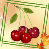 Fruits Memory Games आइकन