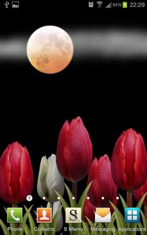 Flowers HD Free Live Wallpaper screenshot 5