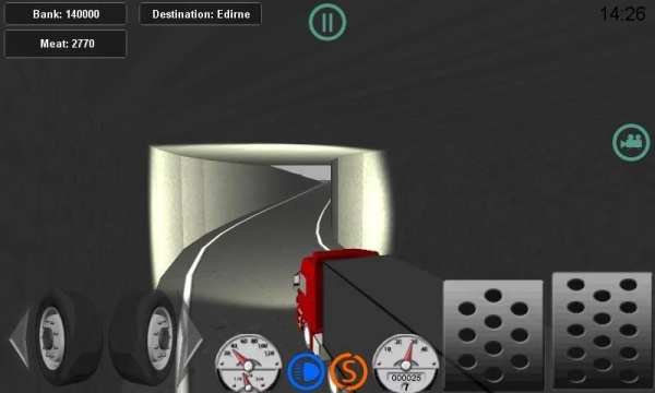 Real Trucker LM 3D screenshot 3