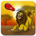 Lion, the king of wild savanna