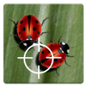 Real Ladybug LWP أيقونة