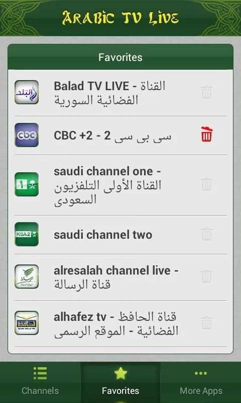 Arabic TV Live screenshot 3