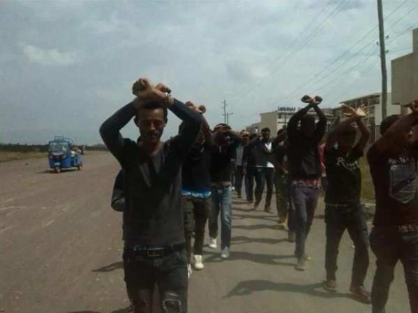 Oromo facebook 2 تصوير الشاشة