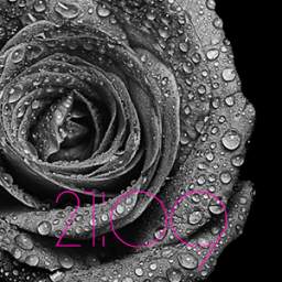 Rotating flower wallpaper 1.2.1