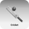 Cricket News and Headlines