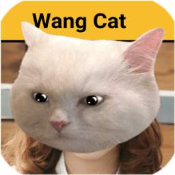 Wangcat - Wang Cat Sticker HD