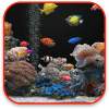 Aquarium 1.3