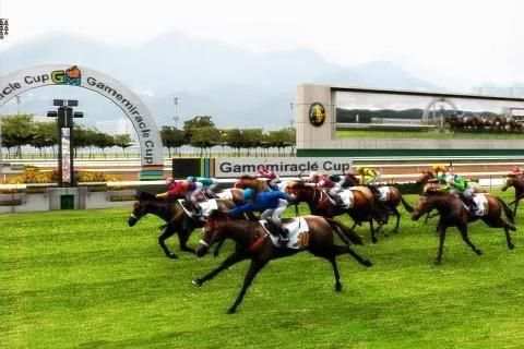 iHorse Betting 2 screenshot 2