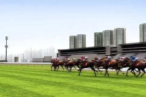 iHorse Betting 2 screenshot 3