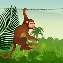 Jumping Monkey on 9Apps