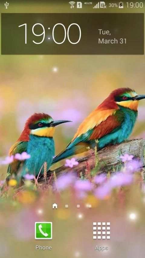 Spring Birds Live Wallpaper screenshot 8