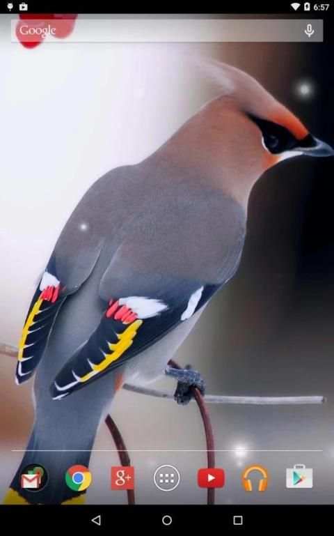 Spring Birds Live Wallpaper скриншот 14