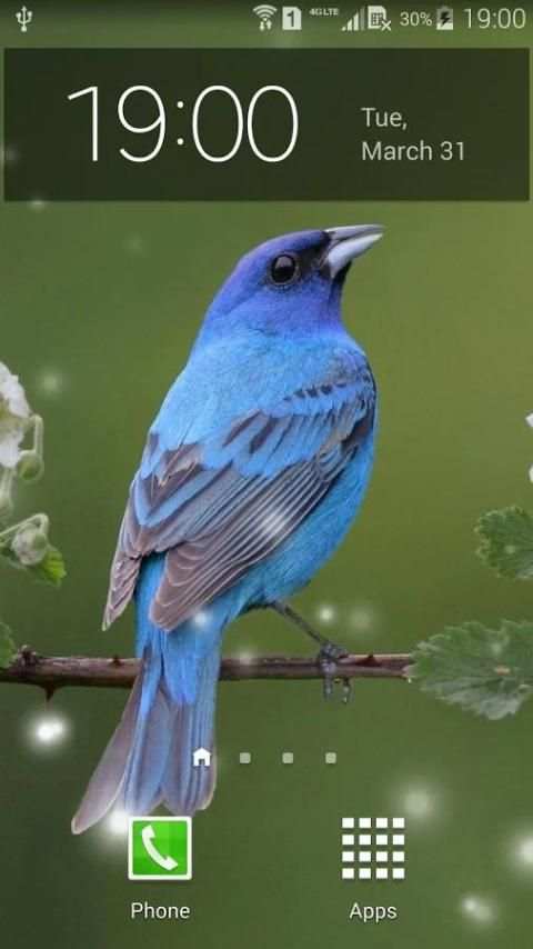 Spring Birds Live Wallpaper 7 تصوير الشاشة