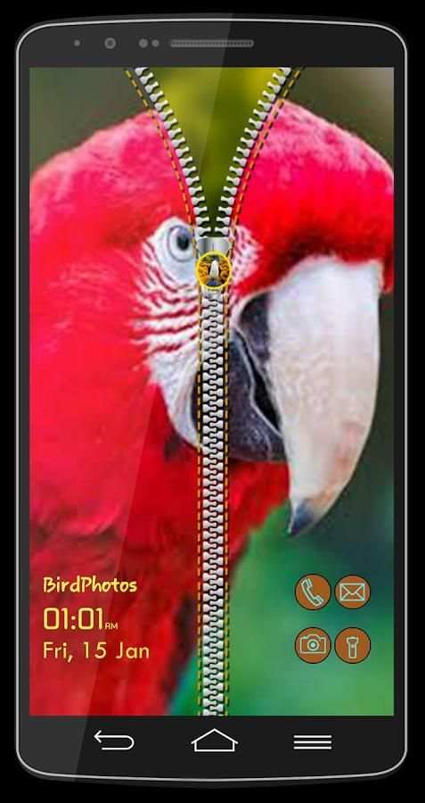 Birds Photo Lock Screen screenshot 3