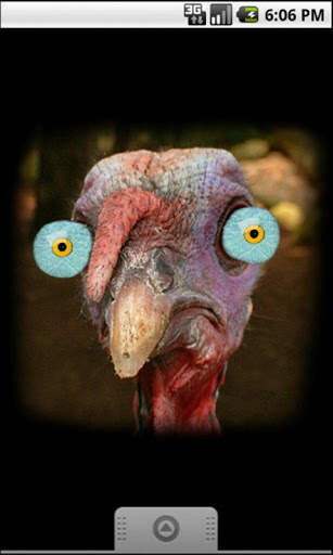 Turkey for Thanksgiving FREE screenshot 2