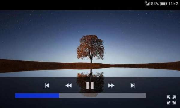 VID Video Player screenshot 2