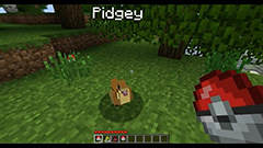 Pixelmon Minecraft screenshot 2