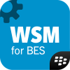 Work Space Manager for BES12 icon