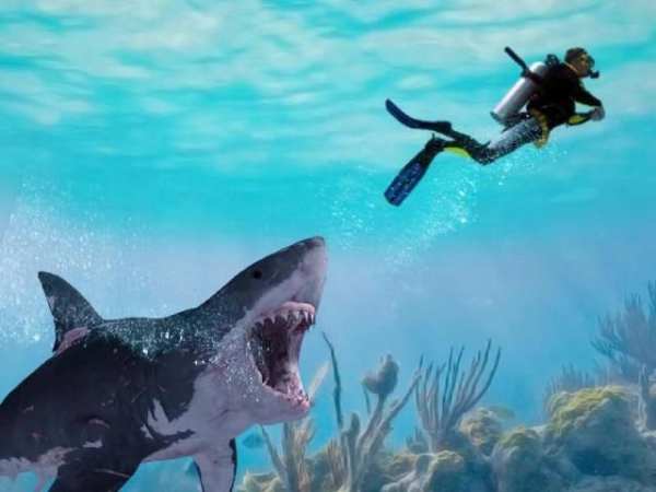 Shark Simulator Attack 3 تصوير الشاشة