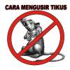 Cara Mengusir Tikus on 9Apps