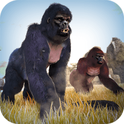 Wild Gorilla Monkey Run Game icon