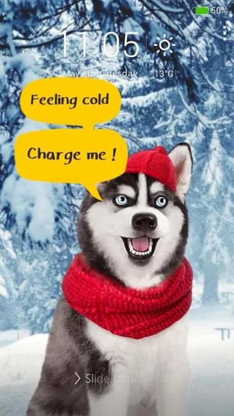 Dog 3 تصوير الشاشة