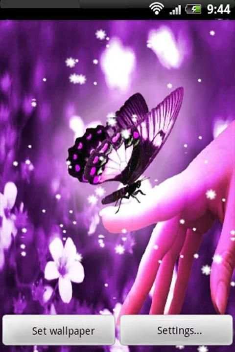 3D Butterfly Live Wallpaper screenshot 1
