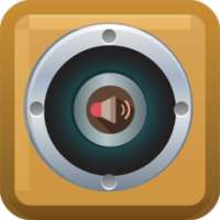 खंड ध्वनि बूस्टर एम्पलीफायर